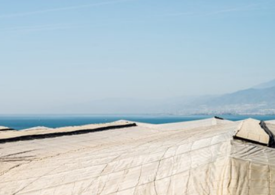 0 (18).png 0 (18).png