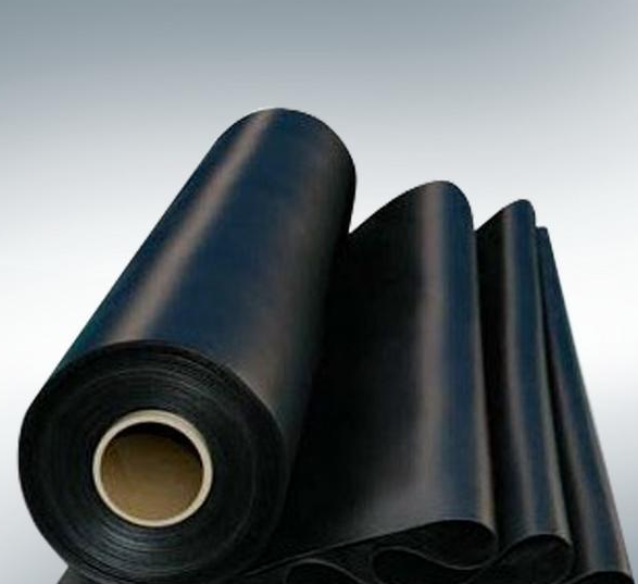 0 (21).png 0 (21).png